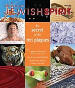 American Jewish Spirit